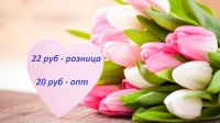 Тюльпаны